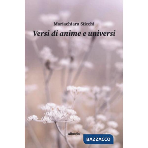 Versi di anime e universi