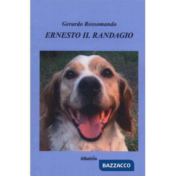 Ernesto il randagio