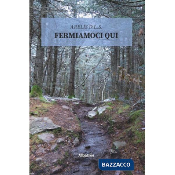 Fermiamoci qui