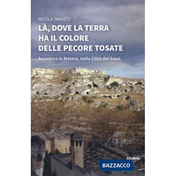 Là, dove la terra ha il colore delle pecore tosate