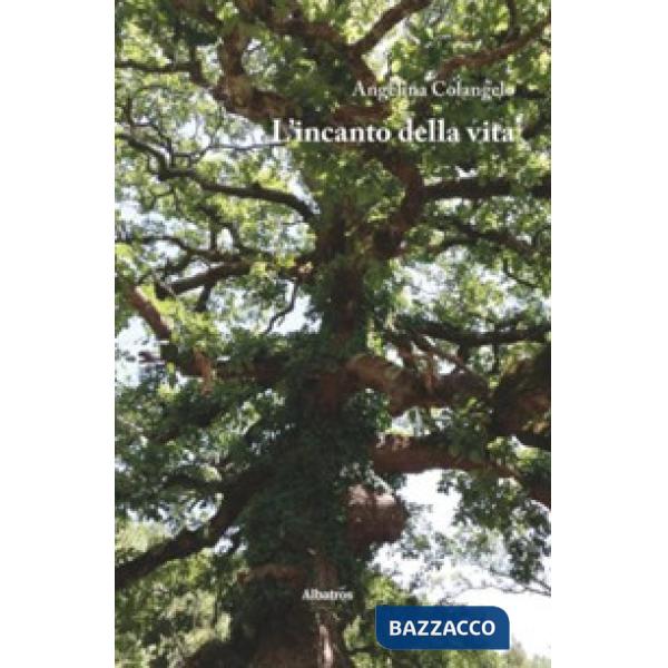 Incanto della vita (L')