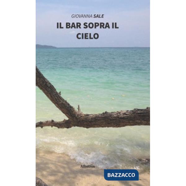 Bar sopra il cielo (Il)