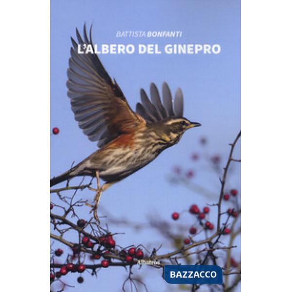 Albero del ginepro (L')