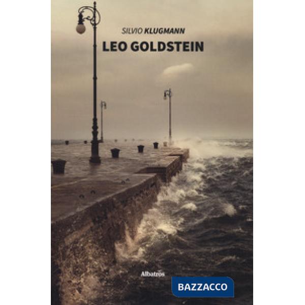 Leo Goldstein