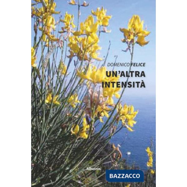 Altra intensità (Un')