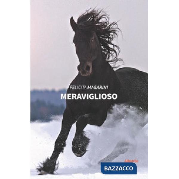 Meraviglioso