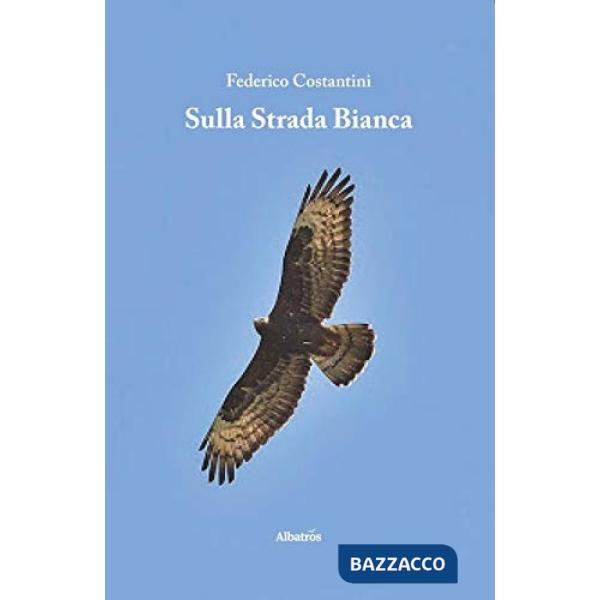 Sulla strada bianca