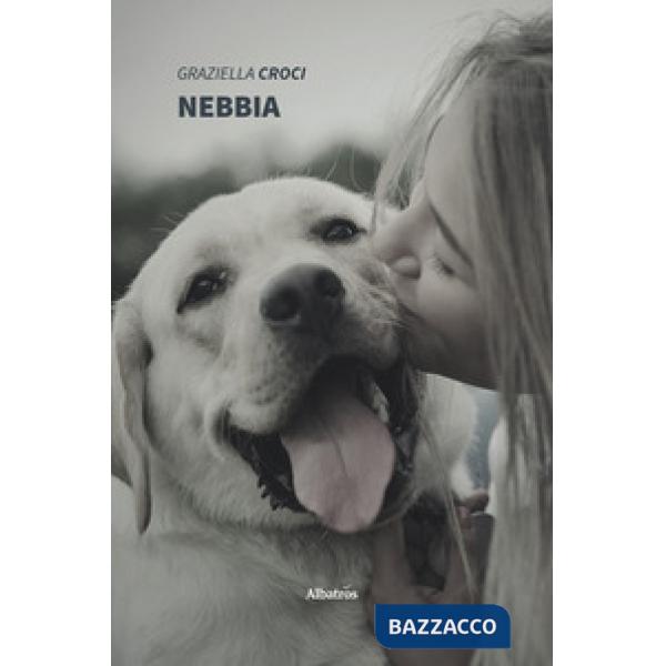 Nebbia
