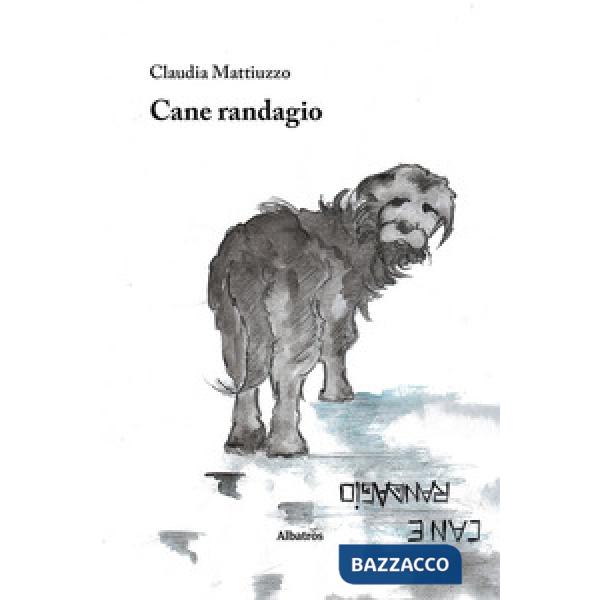 Cane randagio