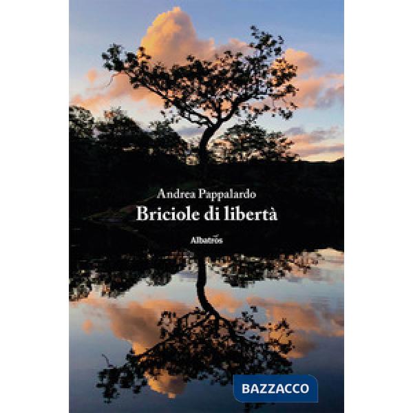Briciole di libertà