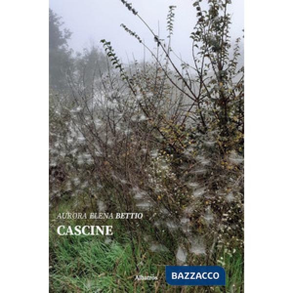 Cascine