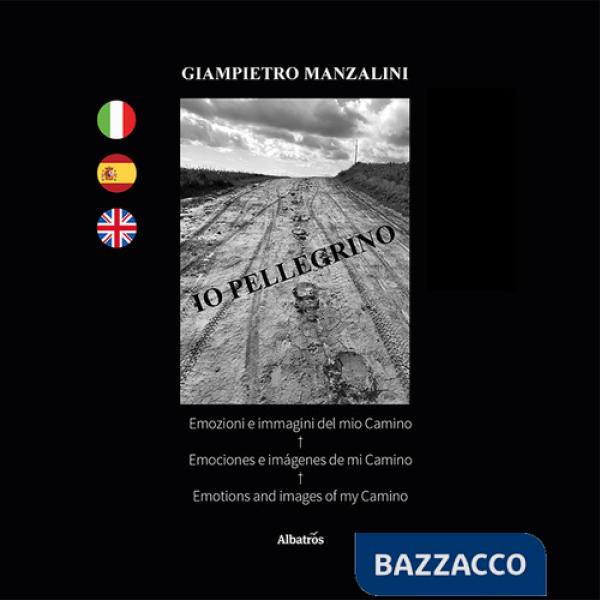 Io pellegrino. Emozioni e immagini del mio Camino. Ediz. italiana, spagnola e inglese