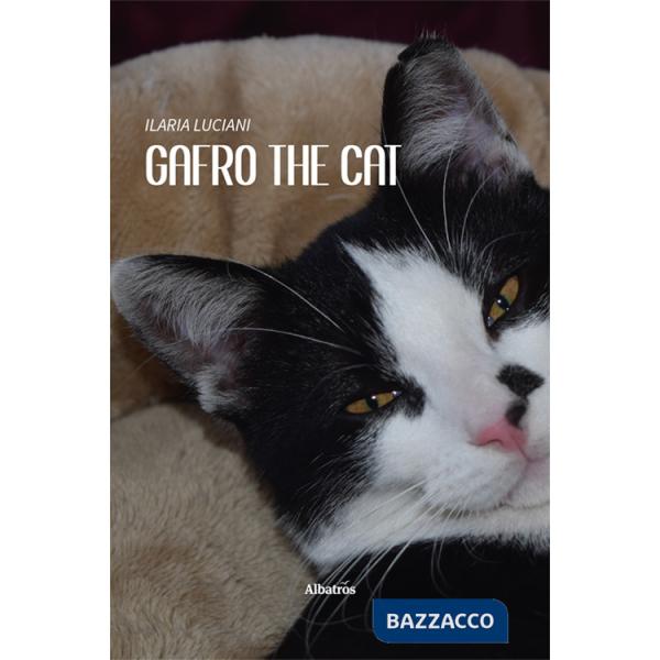Gafro the cat