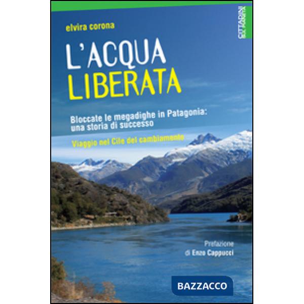 Acqua liberata. Bloccate le megadighe in Patagonia: una storia di successo. Viaggio nel Cile del cambiamento (L')