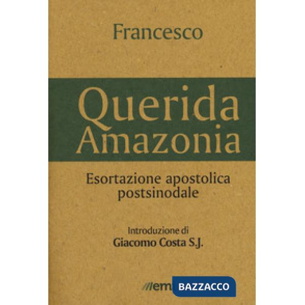 «Querida Amazonia». Esortazione apostolica postsinodale