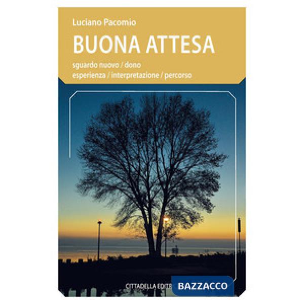 Buona attesa. Sguardo nuovo, dono, esperienza, interpretazione, percorso