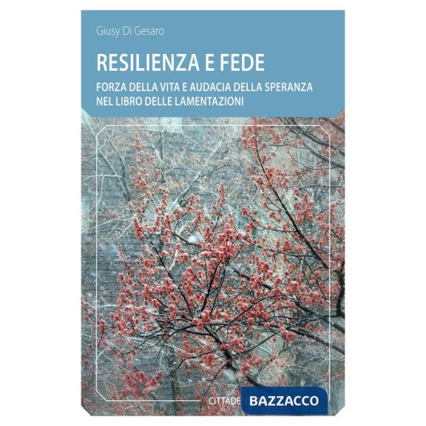 Resilienza e fede. Forza della vita e audacia della speranza nel Libro delle Lamentazioni