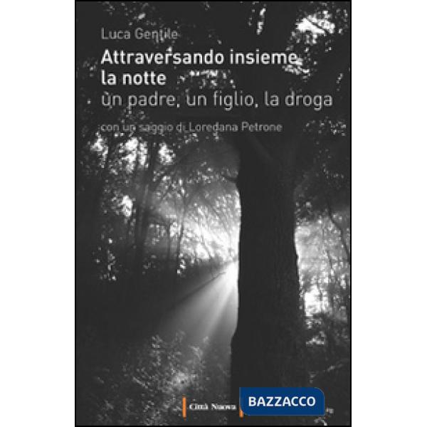 Attraversando insieme la notte. Un padre, un figlio, la droga
