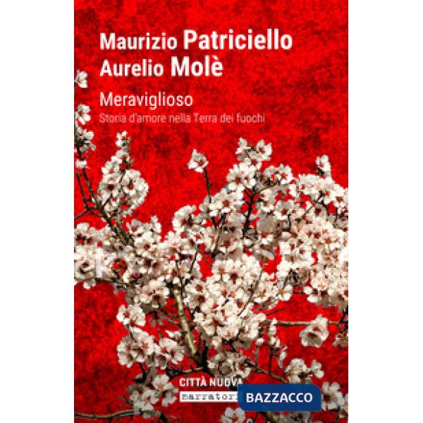 Meraviglioso. Storia d'amore nella «terra dei fuochi»
