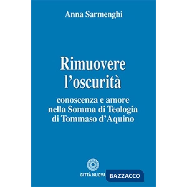 Rimuovere l'oscurità. Conoscenza e amore nella somma