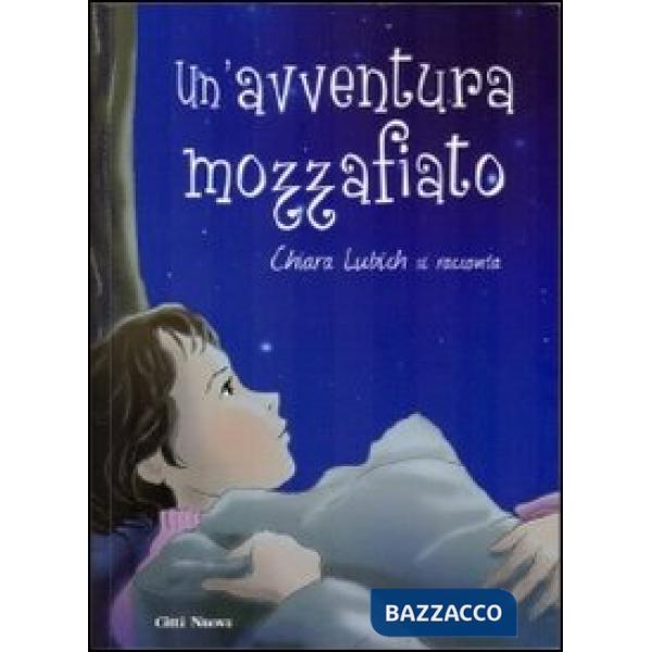 Avventura mozzafiato (Un')