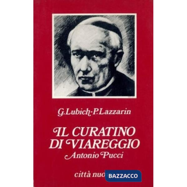 Curatino di Viareggio Antonio Pucci (Il)
