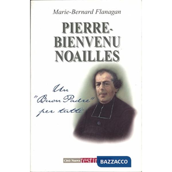 Pierre Bienvenue Noailles