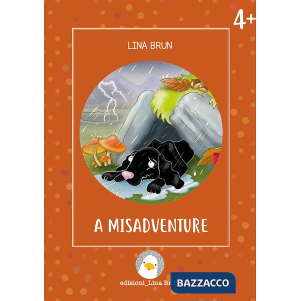 Misadventure. Ediz. illustrata (A)