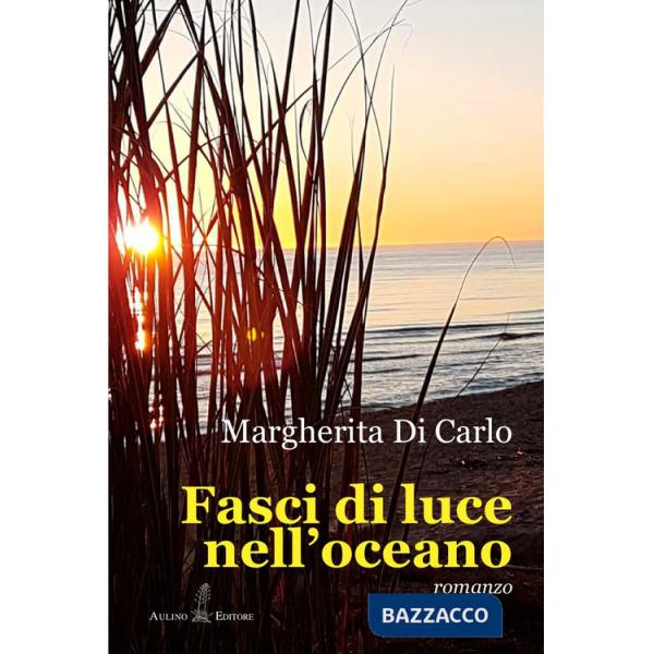 Fasci di luce nell'oceano