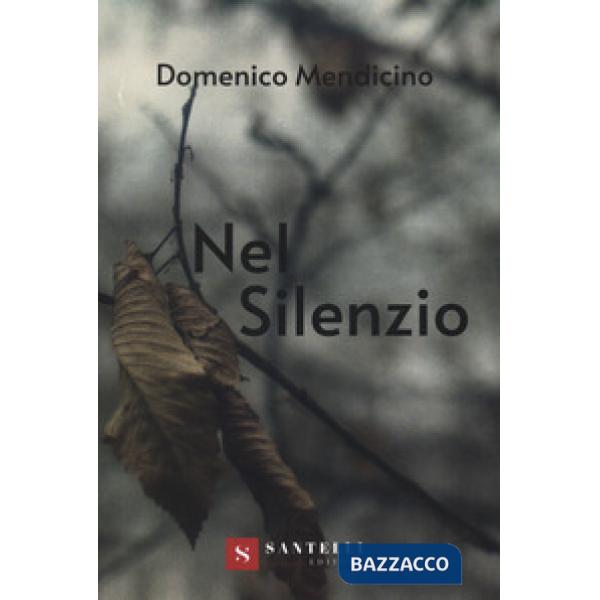 Nel silenzio. Ediz. illustrata