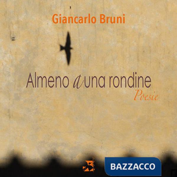 Almeno a una rondine