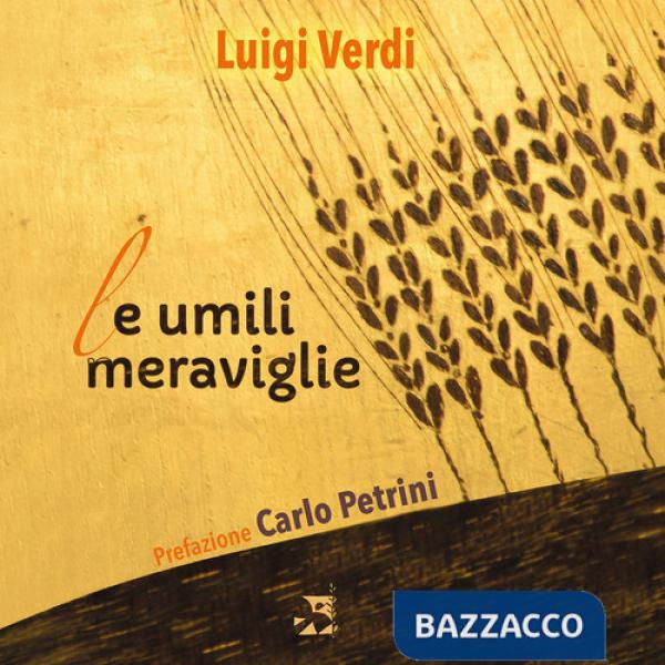 Umili meraviglie (Le)