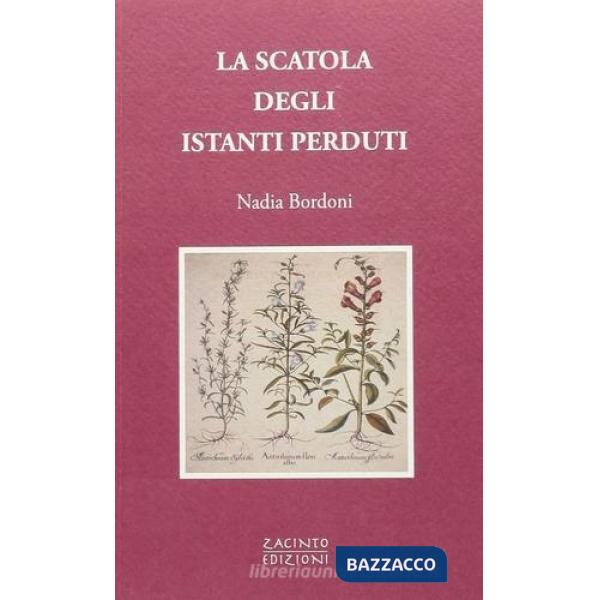 Scatola degli istanti perduti (La)