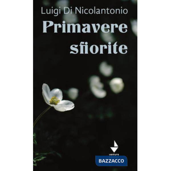 Primavere sfiorite