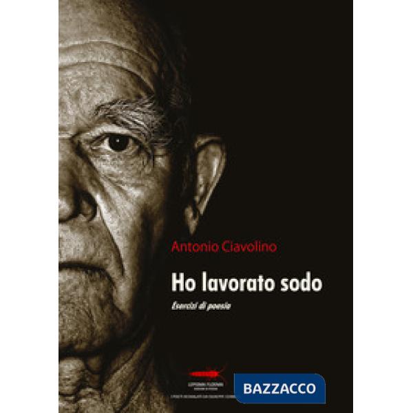 Ho lavorato sodo. Esercizi di poesia