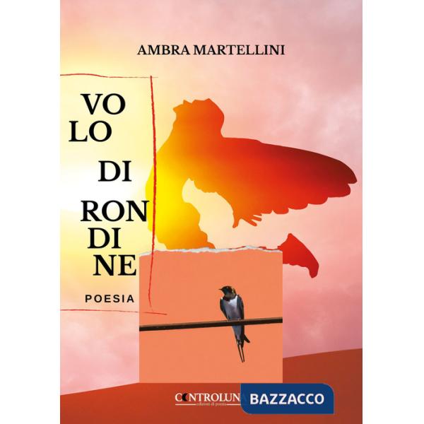 Volo di rondine