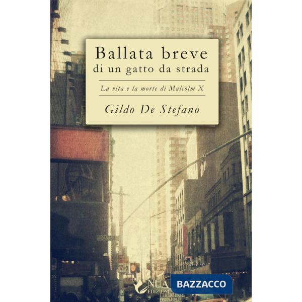 Ballata breve di un gatto da strada. La vita e la morte di Malcolm X