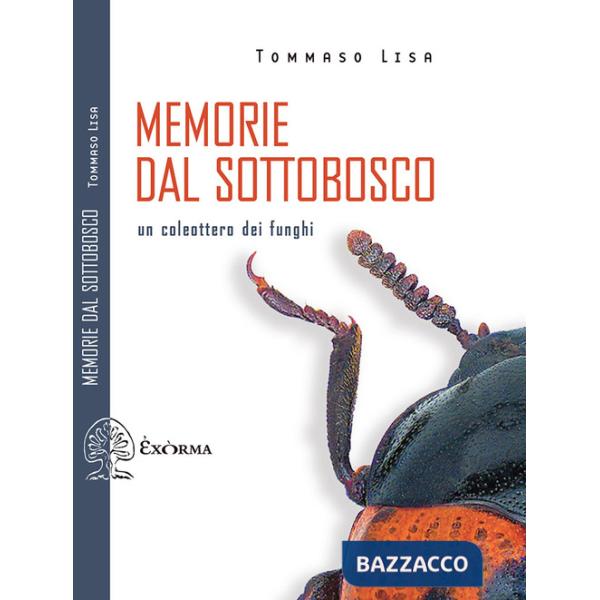 Memorie dal sottobosco. Un coleottero dei funghi