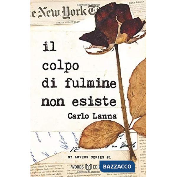 Colpo di fulmine non esiste (Il)