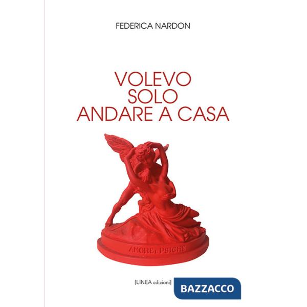 Volevo solo andare a casa