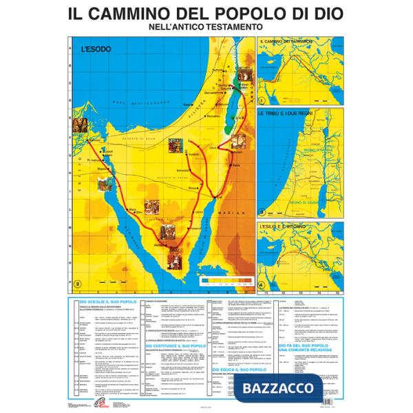 Cammino del popolo di Dio (Il)