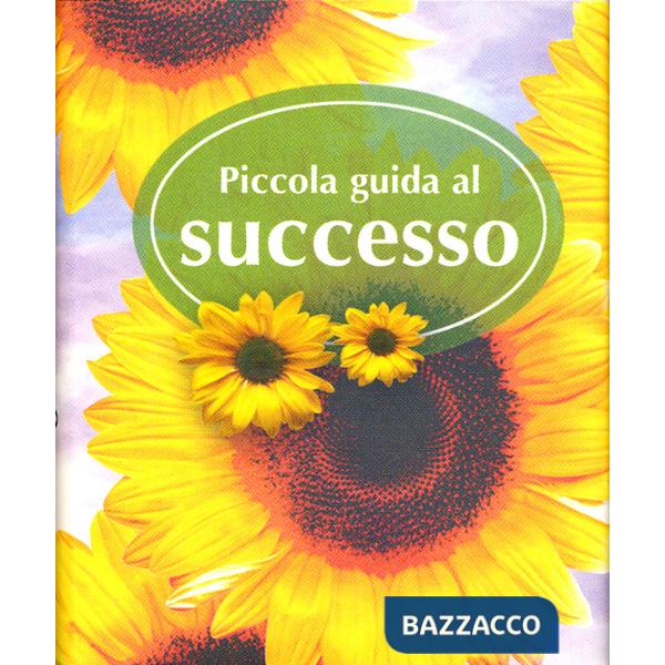 Piccola guida al successo
