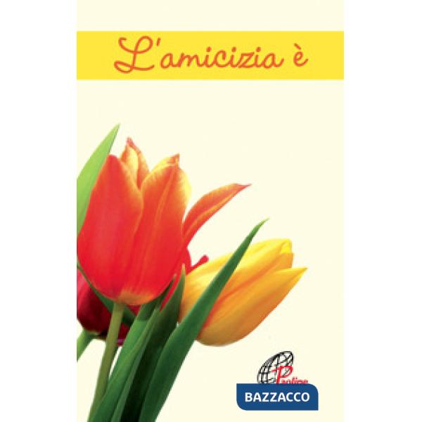 Amicizia è. Ediz. illustrata (L')