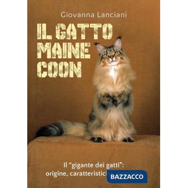 Gatto Maine Coon (Il)