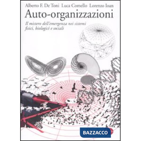 Auto-organizzazioni. Il mistero dell'emergenza dal basso nei sistemi fisici, biologici e sociali