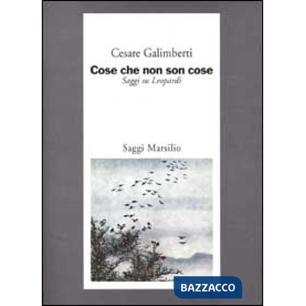 Cose che non son cose. Saggi su Leopardi