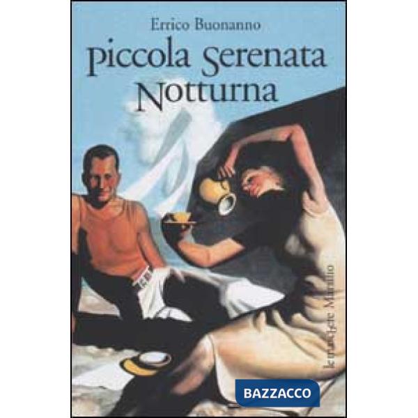 Piccola serenata notturna