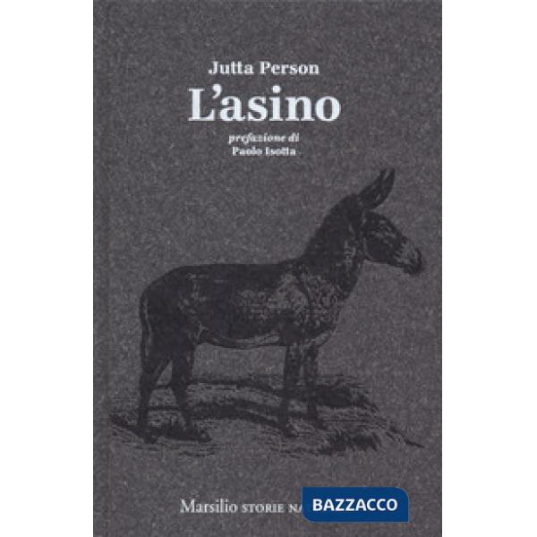 Asino (L')