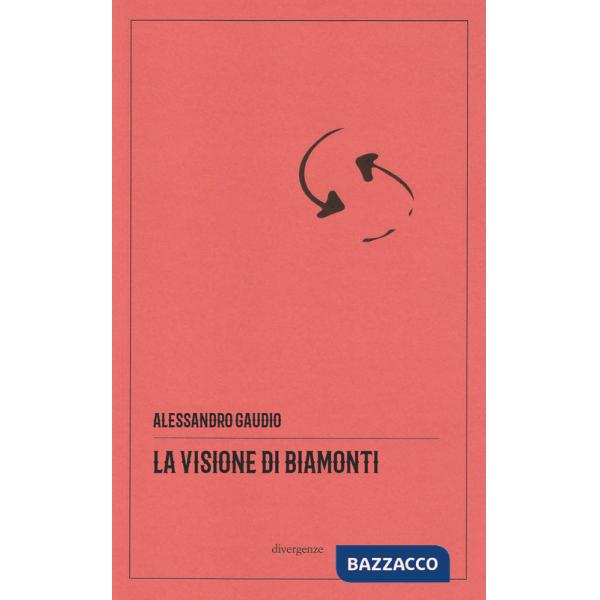 Visione di Biamonti. Principi e motivi d'incontro tra letteratura e filosofia. Ediz. critica (La)