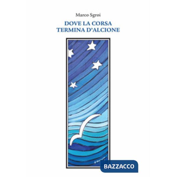 Dove la corsa termina d'alcione